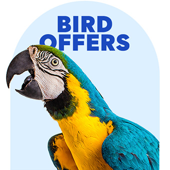 Bird Offers