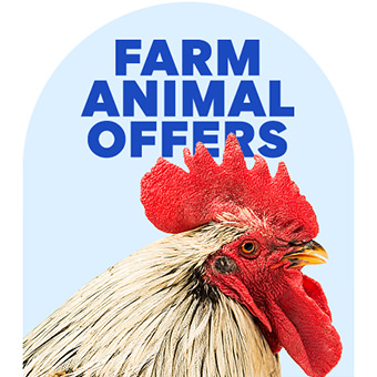 Farm Animal Offers
