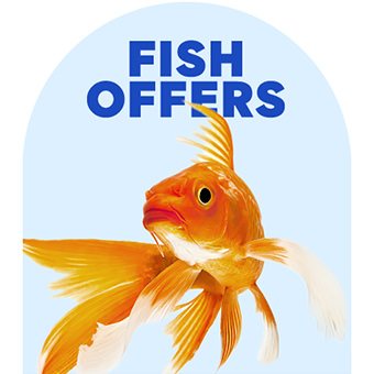 Fish Offers