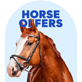 Horse Offers