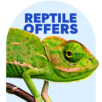 Reptile Offers