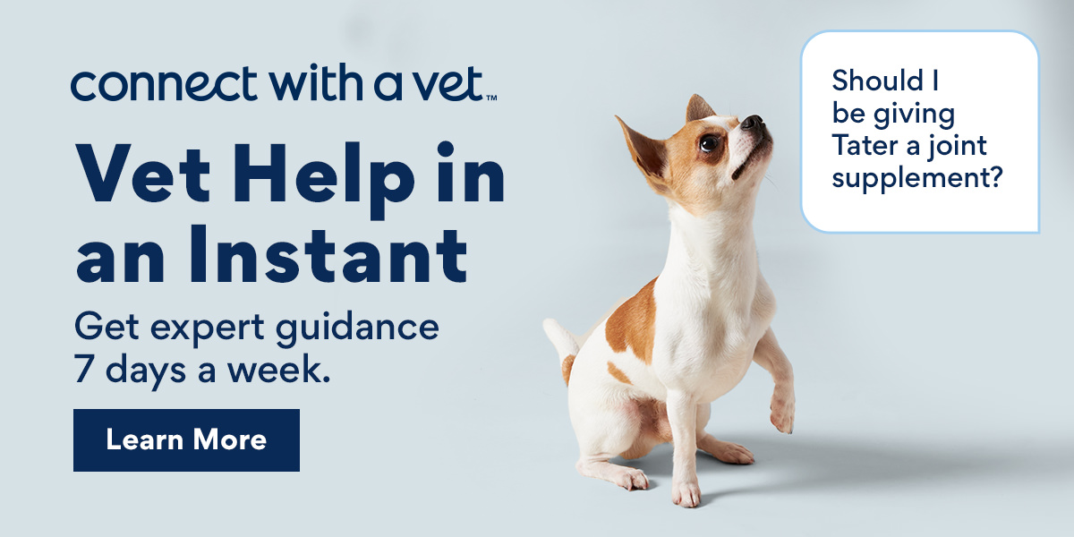 Connect With a Vet | Learn More