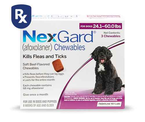 For00os 24.1-60.0Ibs NexGard afoxolaner Chewables Kills Fleas and Ticks Soft Beef Flavored Chewables 2Kl fleas et Sprevonts oo Saatorhoer Each chevablecon g storotaner Giveonce a month PURPIES OL0ER 
