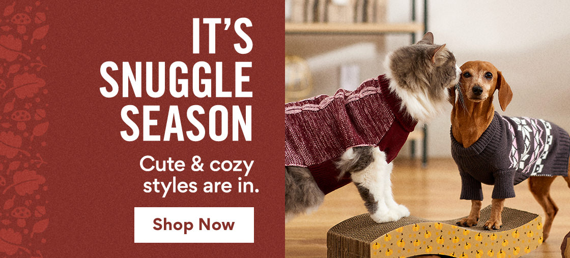 It's Snuggle Season | Cute & cozy styles are in. | Shop Now 1 N 1R NN Cute cozy styles are in. 