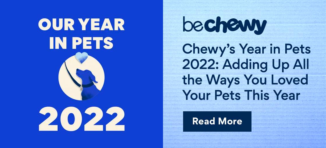 Be Chewy | Our Year In Pets 2022 | Chewy's Year in Pets 2022: Adding Up All the Ways You Loved Your Pets This Year | Read More  bechewy Chewys Year in Pets 2022: Adding Up All the Ways You Loved Your Pets This Year 