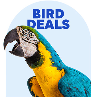Bird Deals