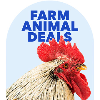 Farm Animal Deals FARM ADNIMAL o 