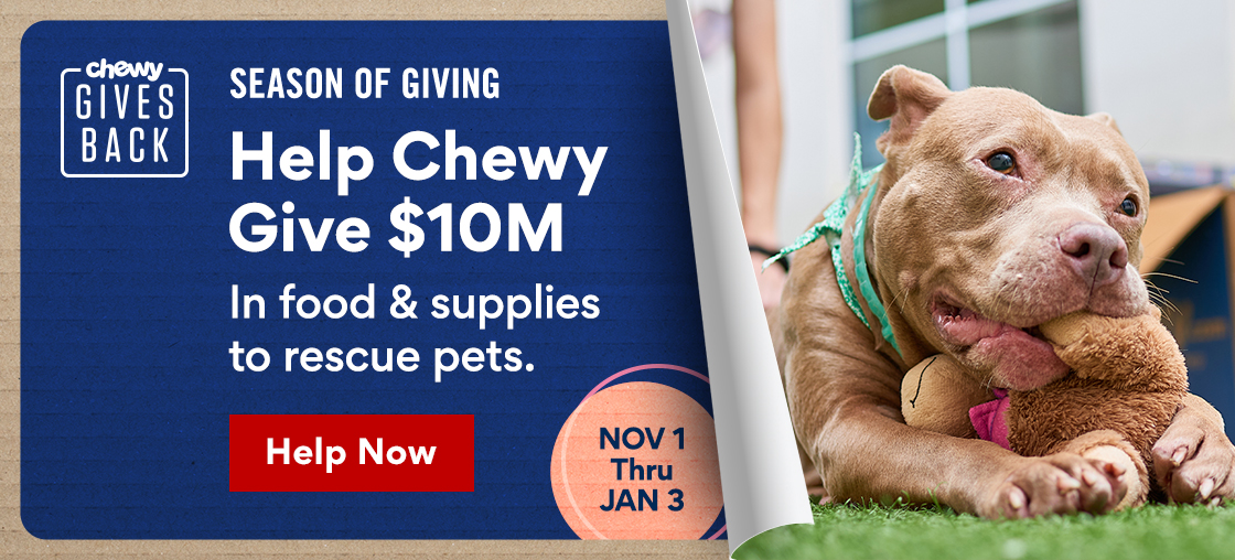 Chewy Gives Back | Season of Giving | Help Chewy Give $10M | In food and supplies to rescue pets. | Help Now | NOV 1 Thru JAN 3  RN LR kj Help Chewy Give $10M In food supplies to rescue pets. . VTR LT 