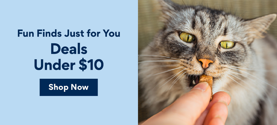 Fun Finds Just for You | Deals Under $10 | Shop Now Fun Finds Just for You Deals Under $10 