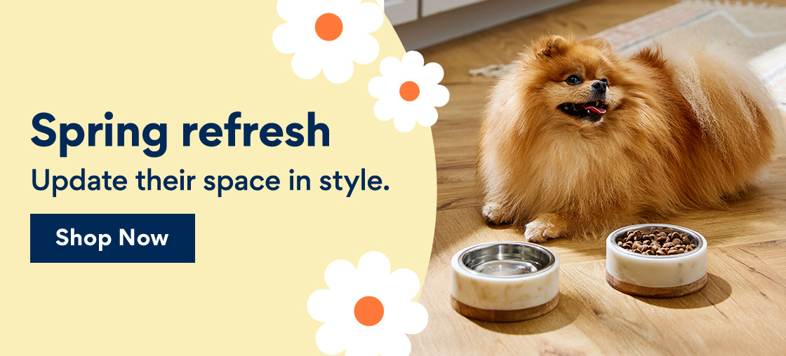 Spring Refresh | Update their space in style. | Shop Now Spring refresh Update their space in style. 