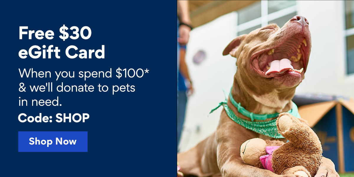 Free $30 eGift Card | When you spend $100* and we'll pay it forward to pets in need. Use code SAVE | Shop Now Free $30 eGift Card When you spend $100* we'll donate to pets oW cTte Code: SHOP 