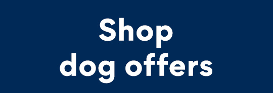 Shop dog offers 