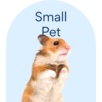 Small Pet