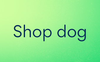 Shop dog 